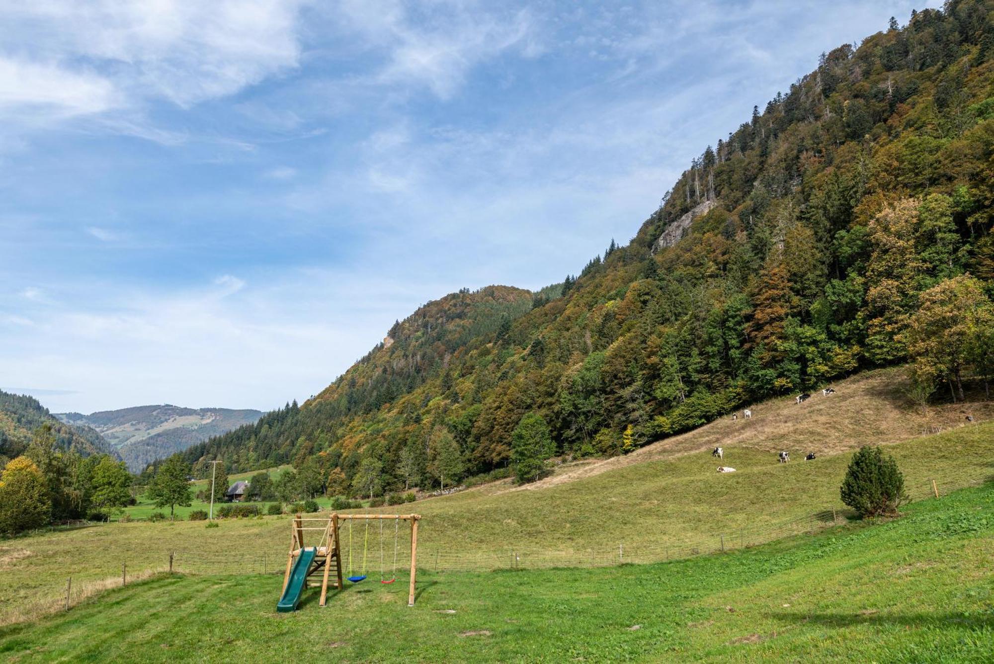 Gasthaus Zur Linde- Napf Oberried  Zewnętrze zdjęcie