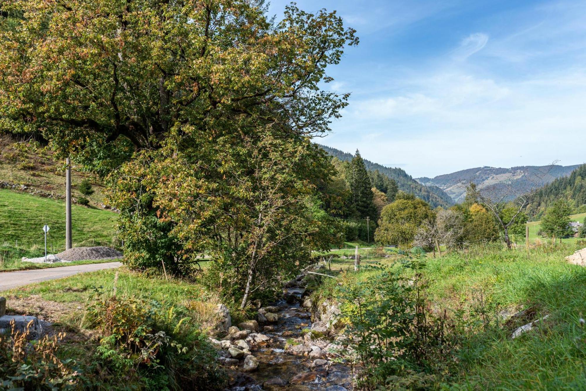 Gasthaus Zur Linde- Napf Oberried  Zewnętrze zdjęcie