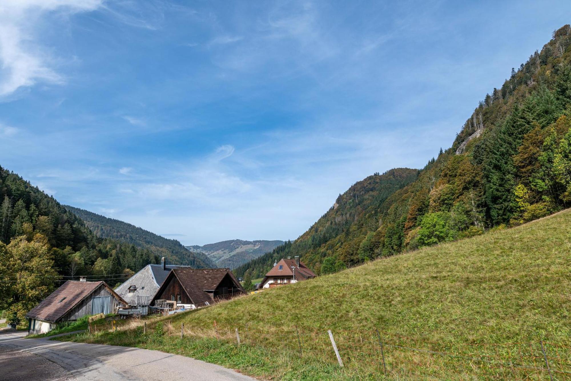 Gasthaus Zur Linde- Napf Oberried  Zewnętrze zdjęcie