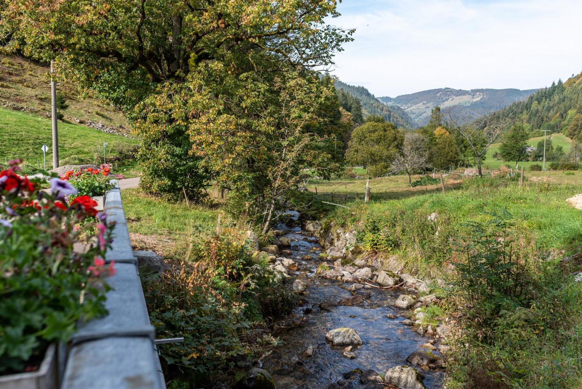 Gasthaus Zur Linde- Napf Oberried  Zewnętrze zdjęcie